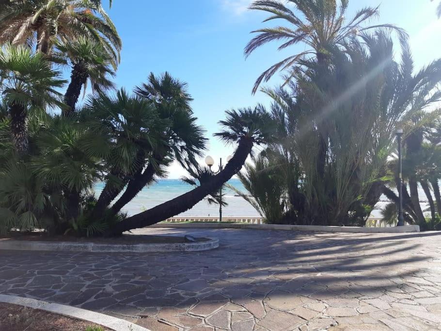 Apartmán La Casa De Grace Sanremo Exteriér fotografie