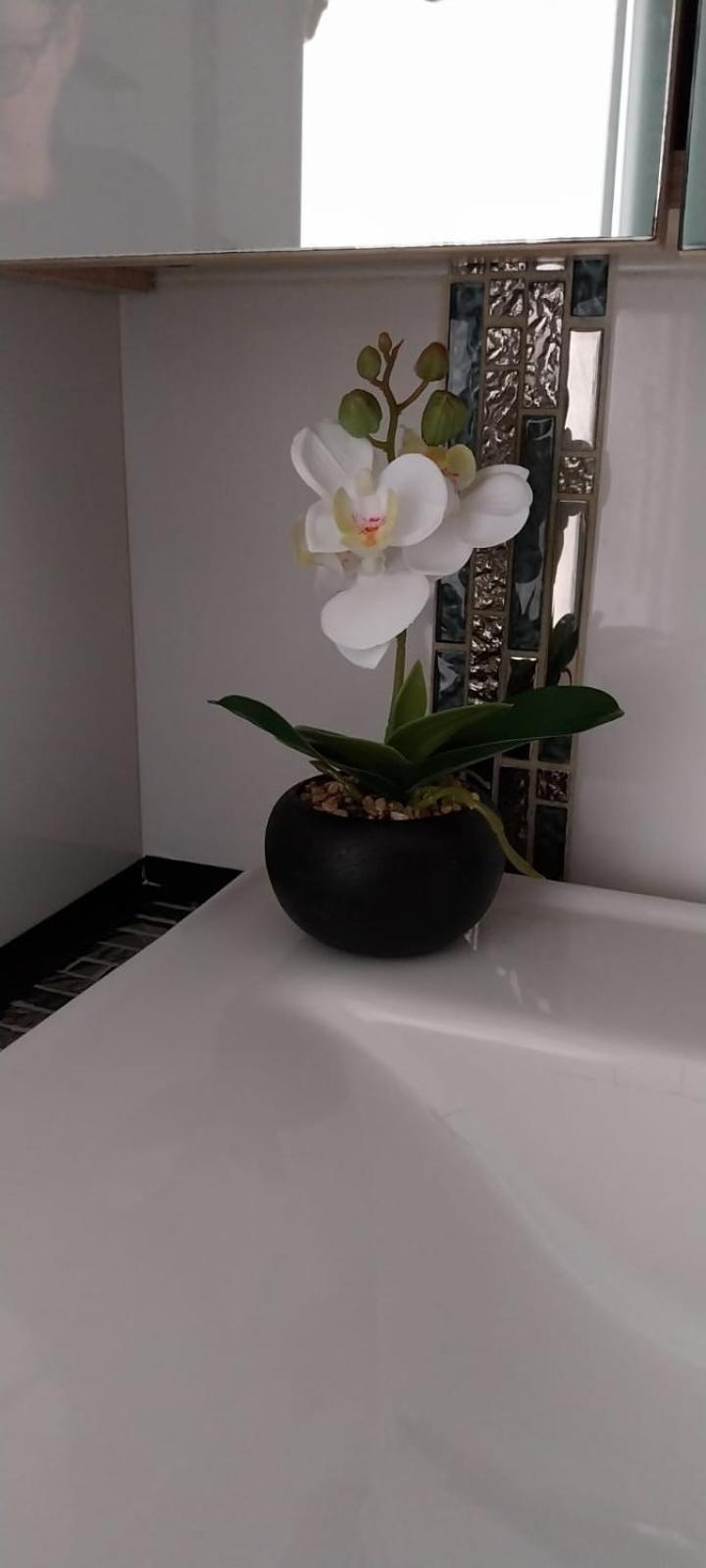 Apartmán La Casa De Grace Sanremo Exteriér fotografie